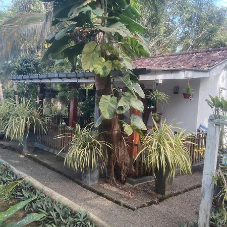 Lovers Green Villa Matara Bagian luar foto